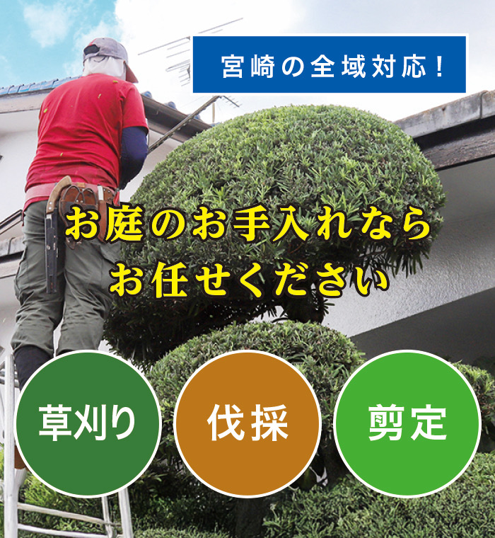 宮崎市で草刈り・剪定・伐採なら「お庭の大将」 宮崎市で草刈り・剪定・伐採なら「お庭の大将」